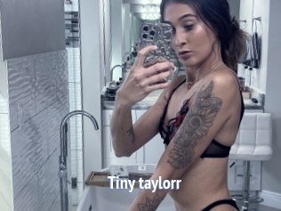 Tiny_taylorr