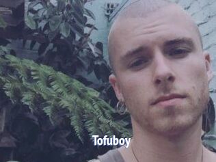 Tofu_boy