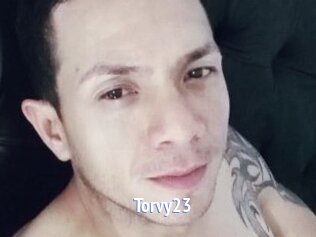 Torvy23
