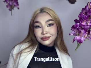 Trangallison