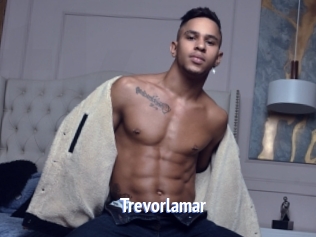 Trevorlamar