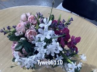 Tywebb110