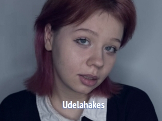 Udelahakes