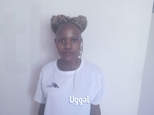Uggal
