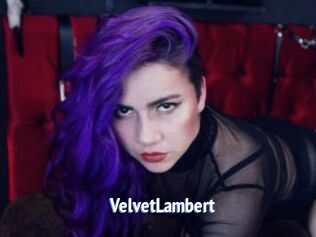 VelvetLambert