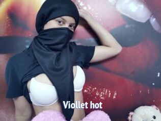 Viollet_hot