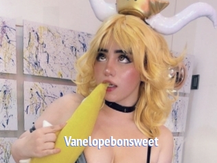 Vanelopebonsweet