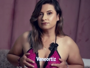 Vaneortiz