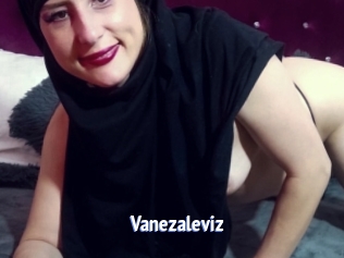 Vanezaleviz