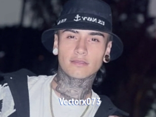 Vectorx073