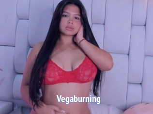 Vegaburning