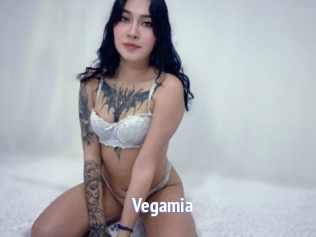 vegamia Telefon Kontakte