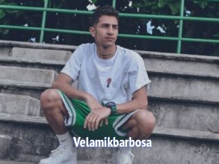 Velamikbarbosa