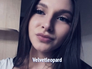 Velvetleopard