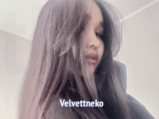 Velvettneko