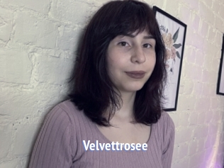 Velvettrosee