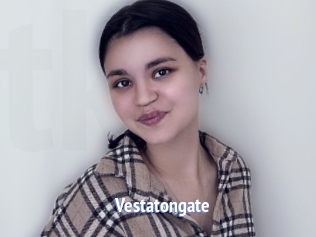 Vestatongate