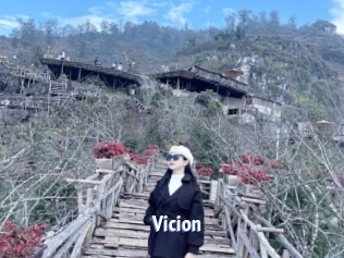 Vicion
