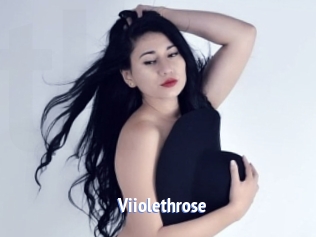 Viiolethrose