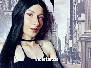 Violetarose
