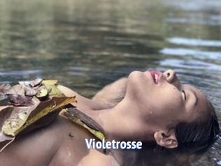 Violetrosse