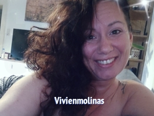 Vivienmolinas