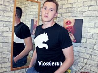 Vlossiecub