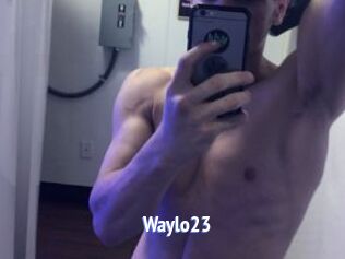 Waylo23