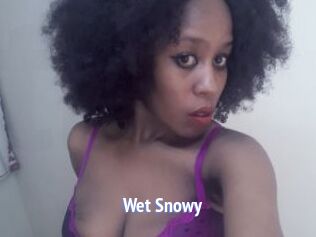 Wet_Snowy