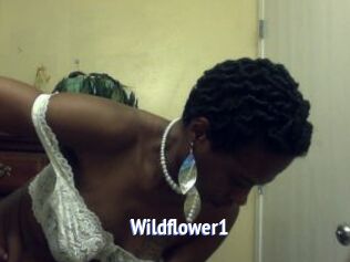 Wildflower1