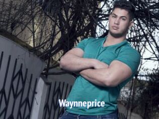 Waynneprice