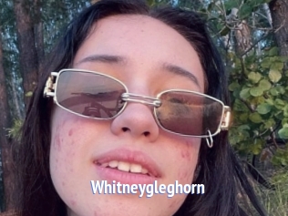 Whitneygleghorn
