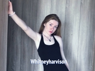 Whitneyharvison