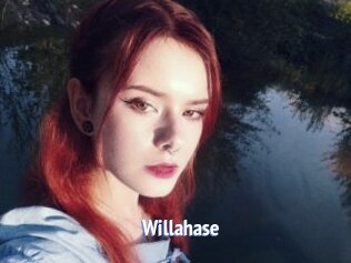 Willahase
