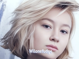 Wilonefudge