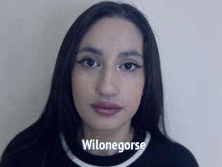 Wilonegorse