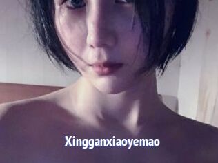 Xingganxiaoyemao