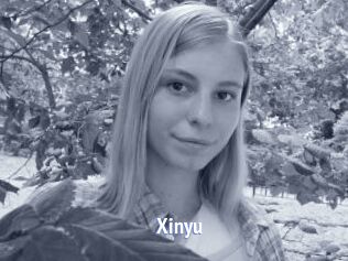 Xinyu