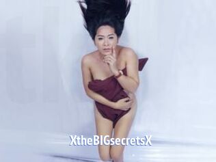 XtheBIGsecretsX