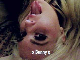 _x_Bunny_x_