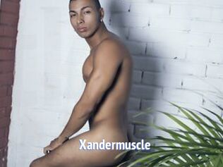 Xandermuscle