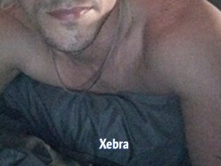 Xebra