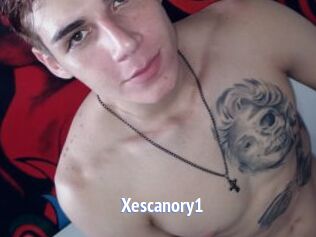 Xescanory1
