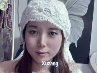 Xuzang