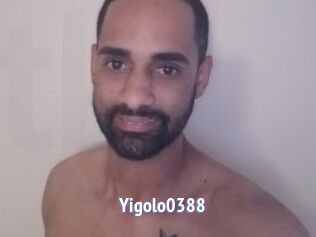 Yigolo0388