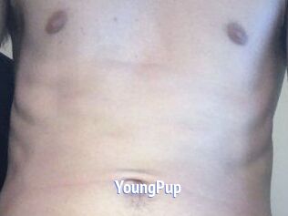 YoungPup