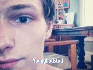 Youngbudstud