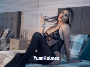 YuanHolmes