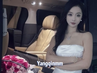 Yangqinmm
