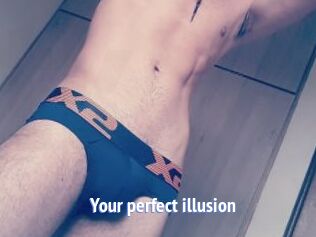 Your_perfect_illusion